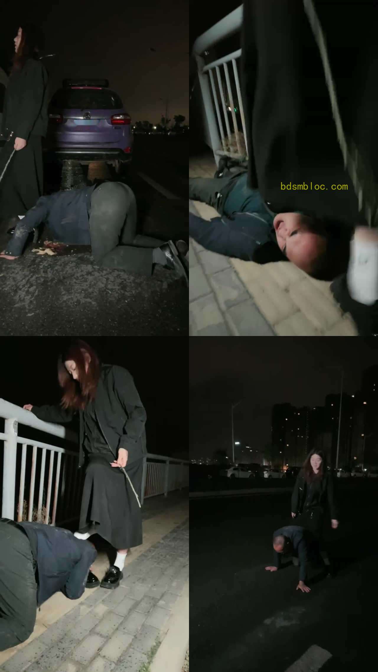 【西北傻子】户外狂风暴雨中虐傻子