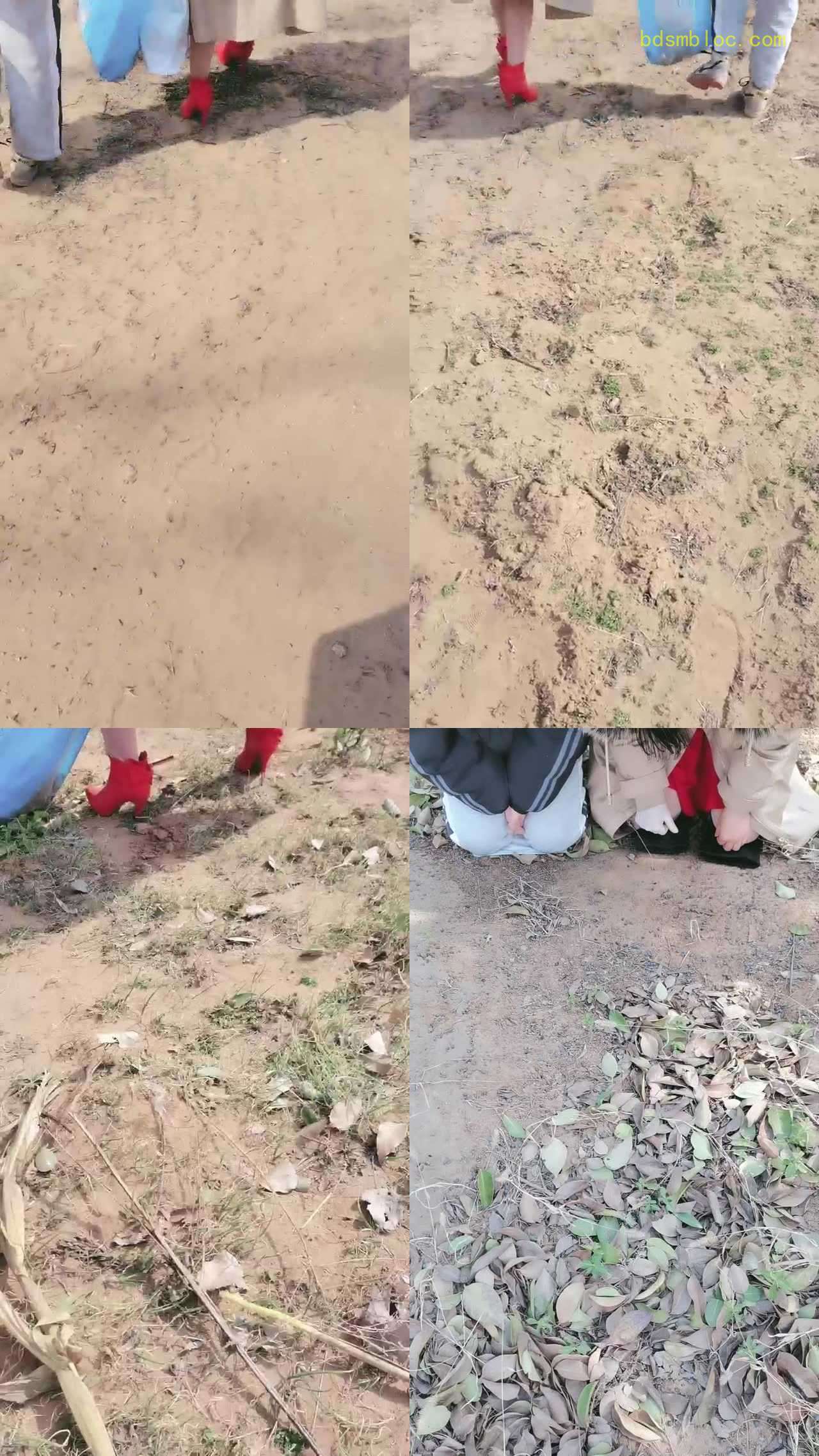 【君舞女王】野外开发