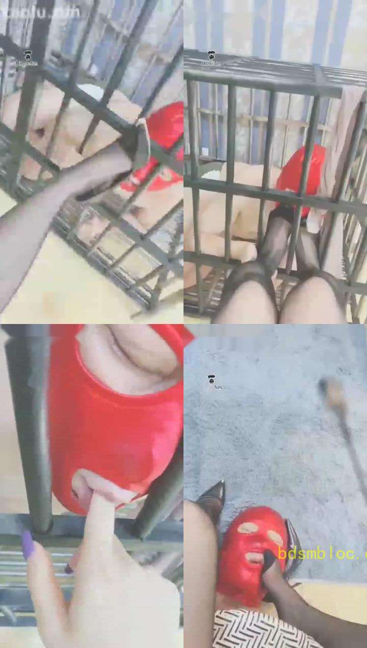 【贵阳妖妖女王】暴雨也阻止不了狗狗来 狗笼调教