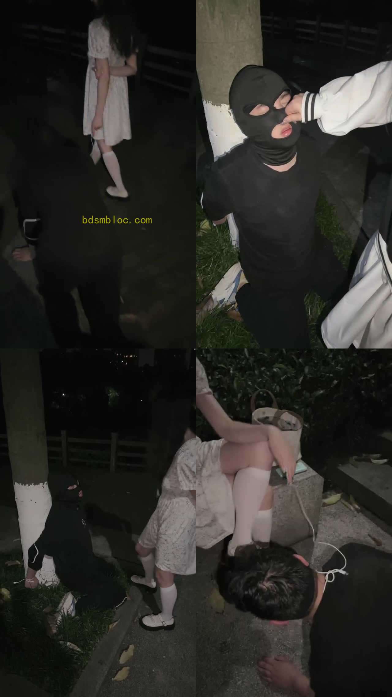 【绝美双S】姐妹花户外遛狗-捆绑树上各种羞辱