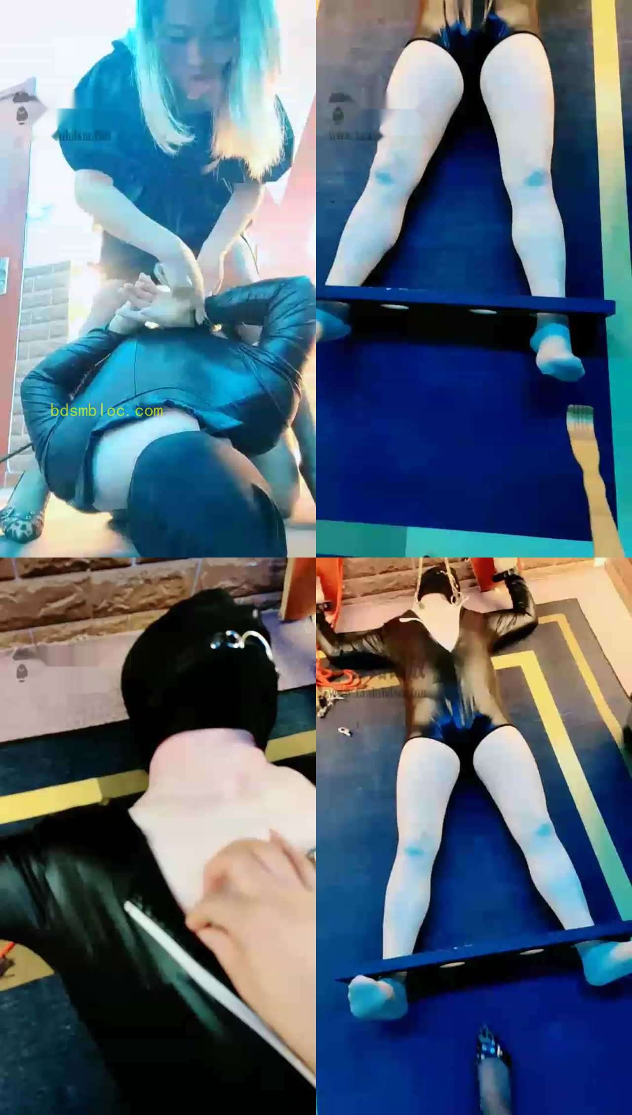 【东营天香百合】开始了，受虐的心