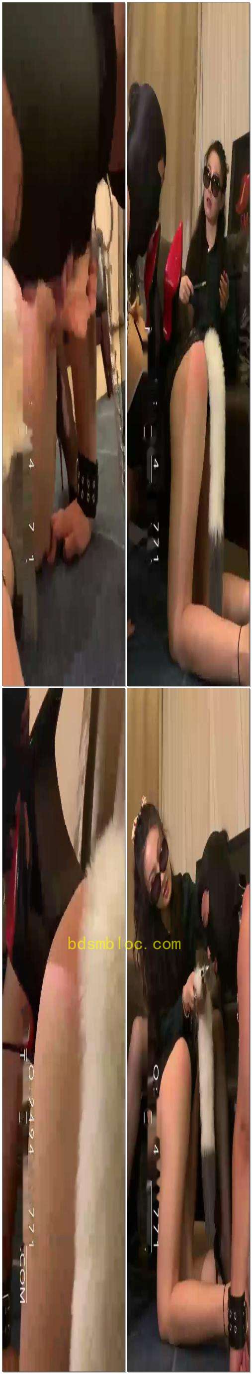 【苏曼】苏曼女王sp骚母狗强迫公狗舔母狗的肛塞