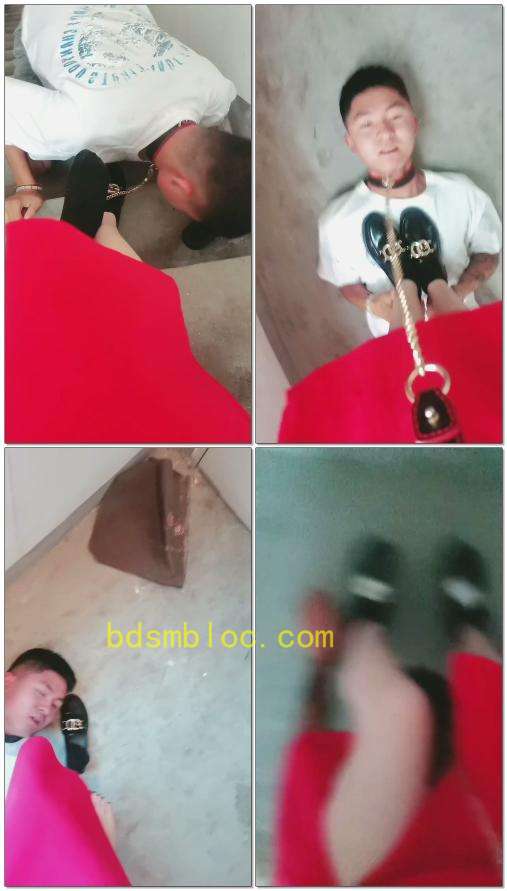 【紫烟s】楼道玩小贱狗