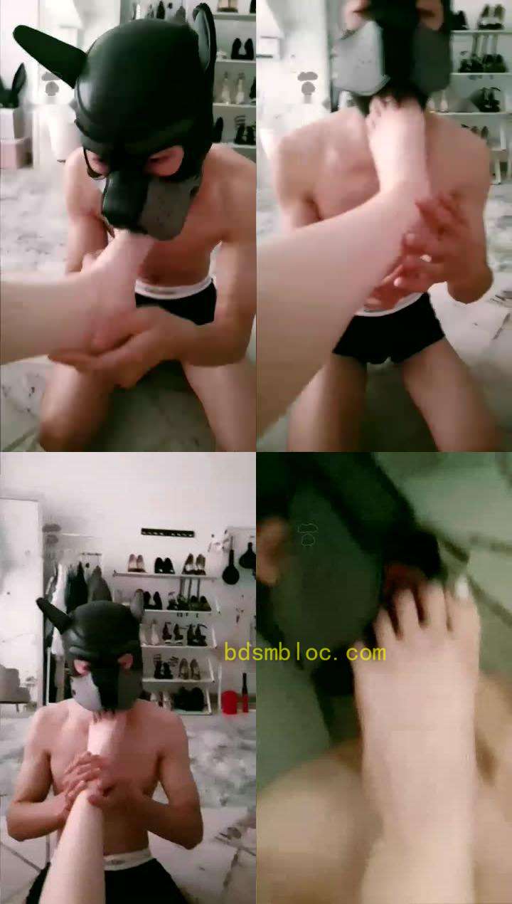 【汐雯】 舔脚狗
