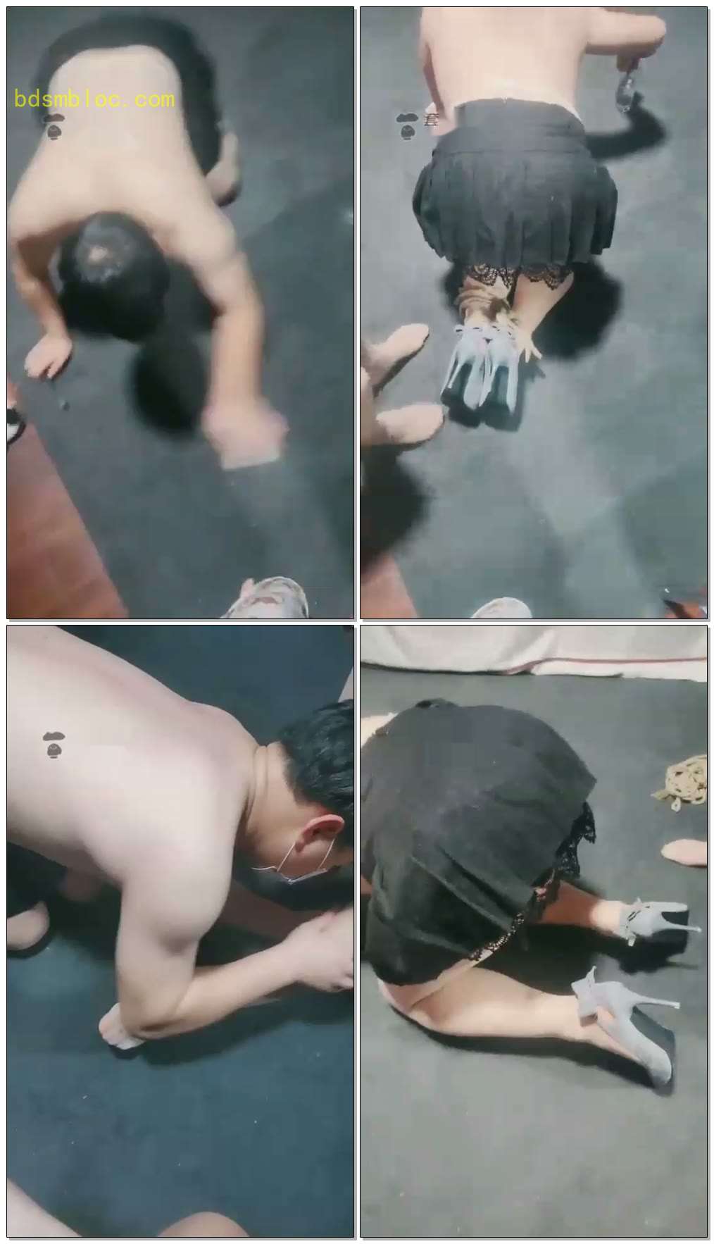 【女攻大大】双女主调教骚浪贱货