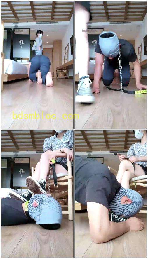 【哈宝s】川A狗狗 学生主帆布鞋白袜羞辱