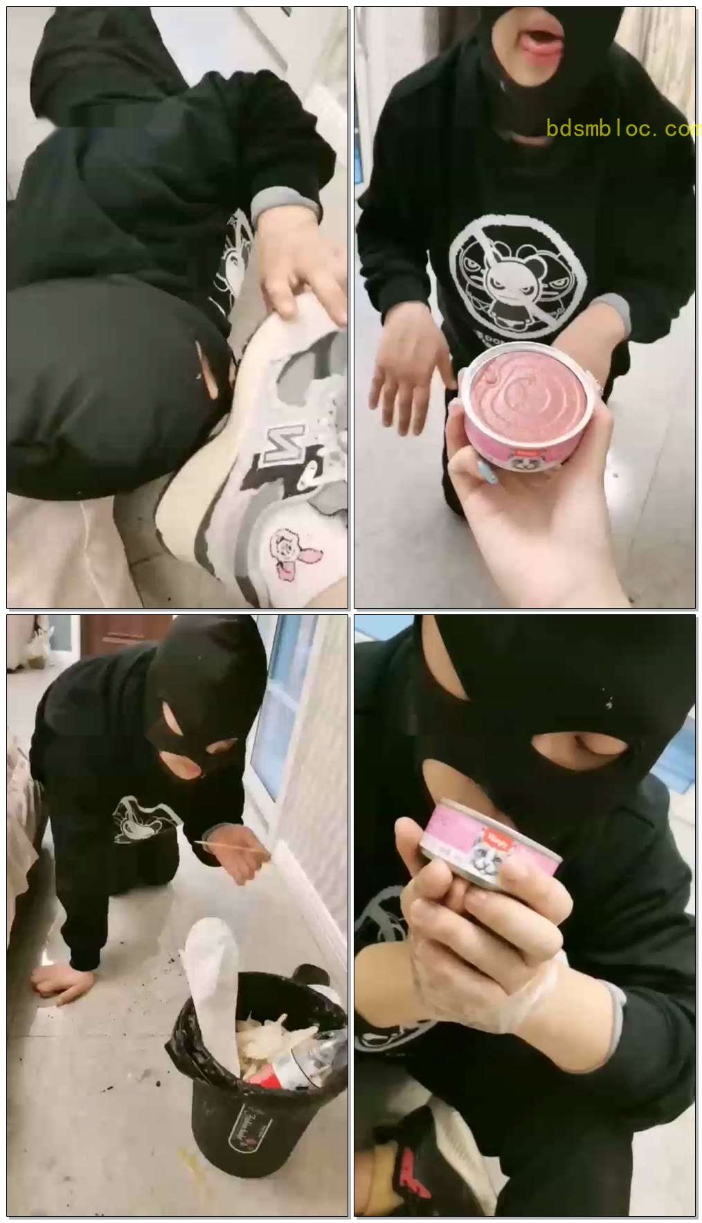 【黛黛s】心情不好，升水喂猫粮，训狗