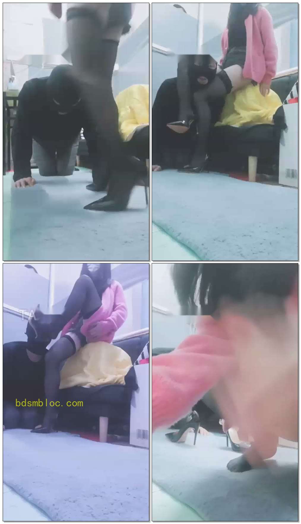 【我是深圳风月s的狗】犯贱了，找女王陛下调教一下