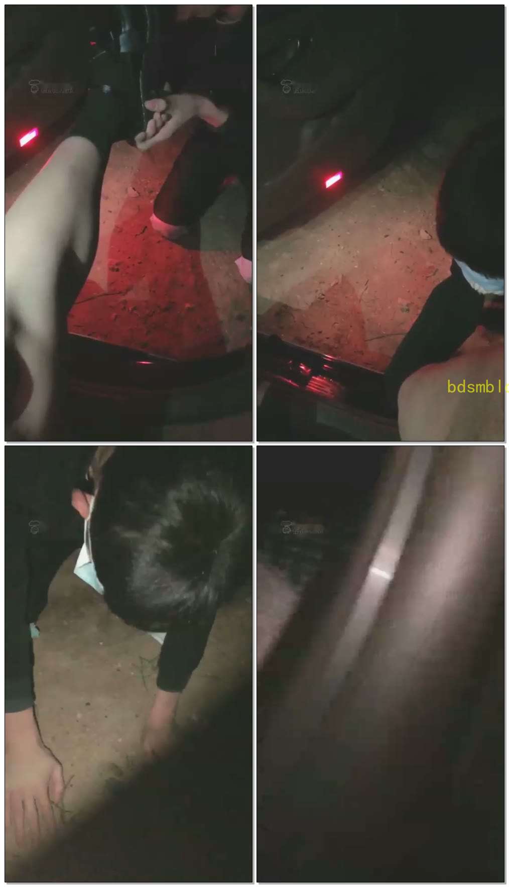 【可可S】户外遛狗舔鞋子闻袜子