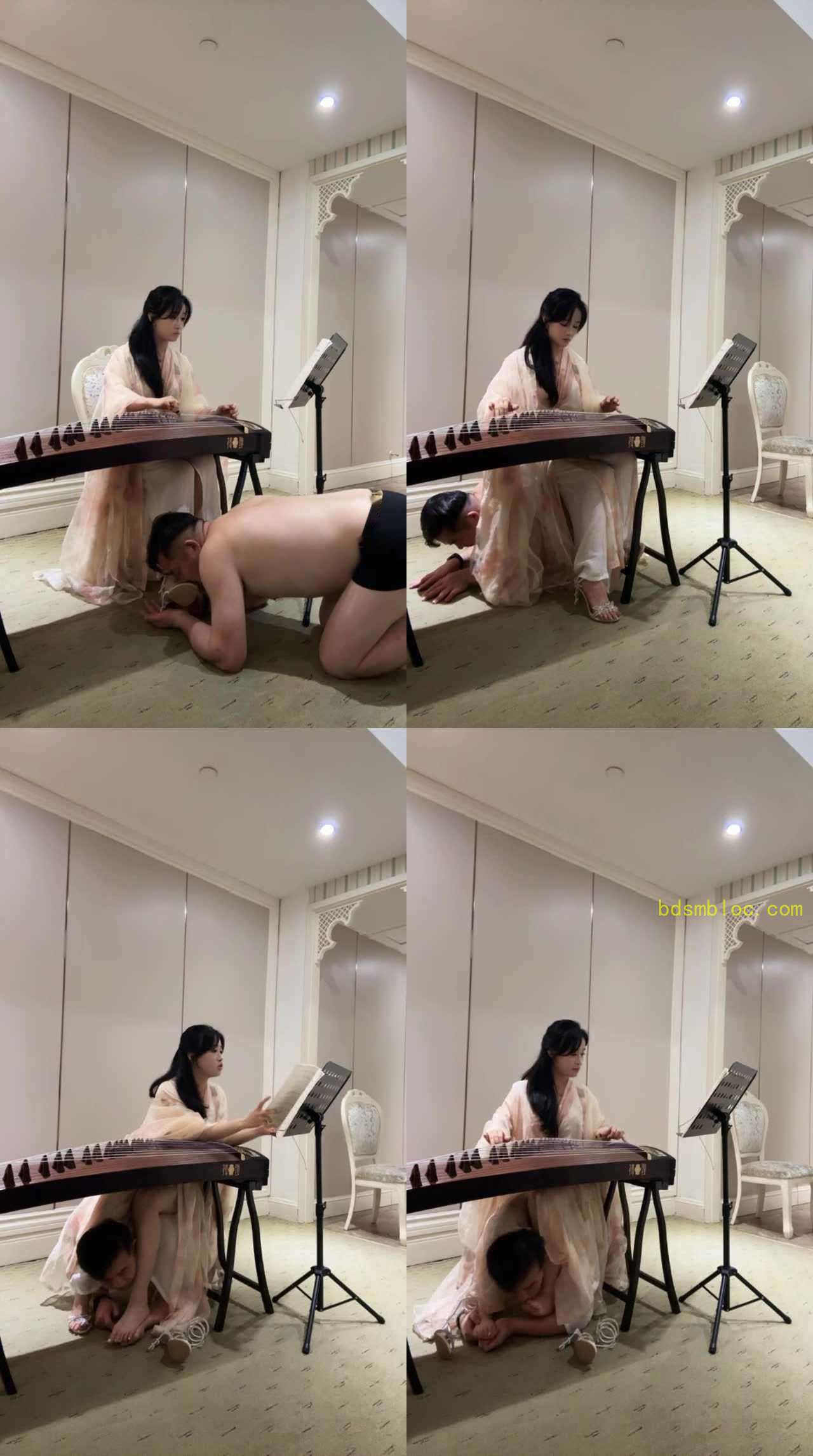【琴月s】弹古筝调狗