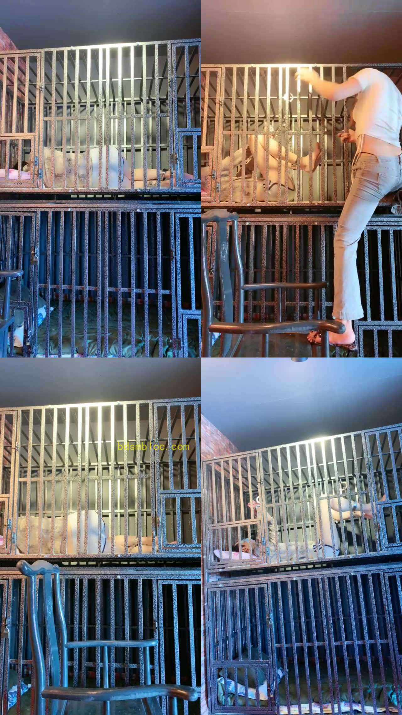 【圈养基地】囚禁狗笼实录