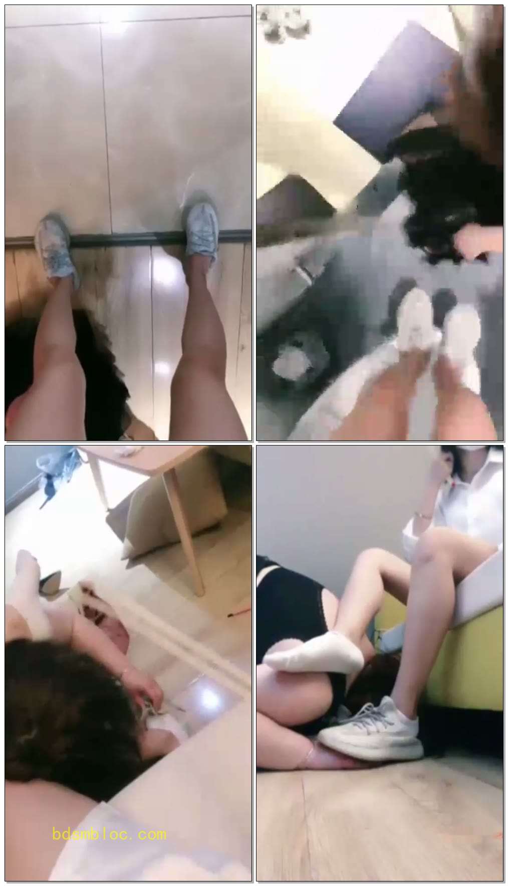 【摇摇殿下】调教母狗