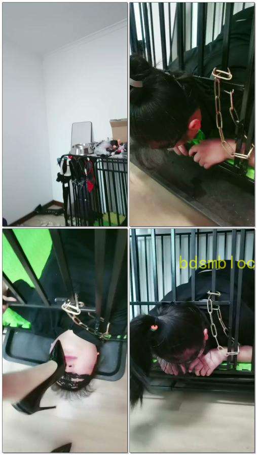 【凌儿女神】笼里家畜的快乐时光，求主人赏赐口服液