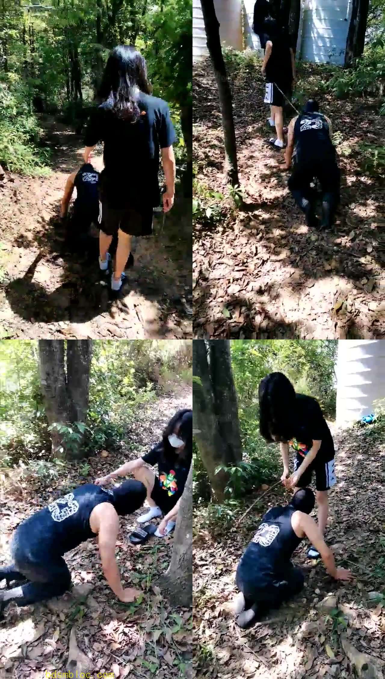 【暴力美学】野外拉练 厕狗进