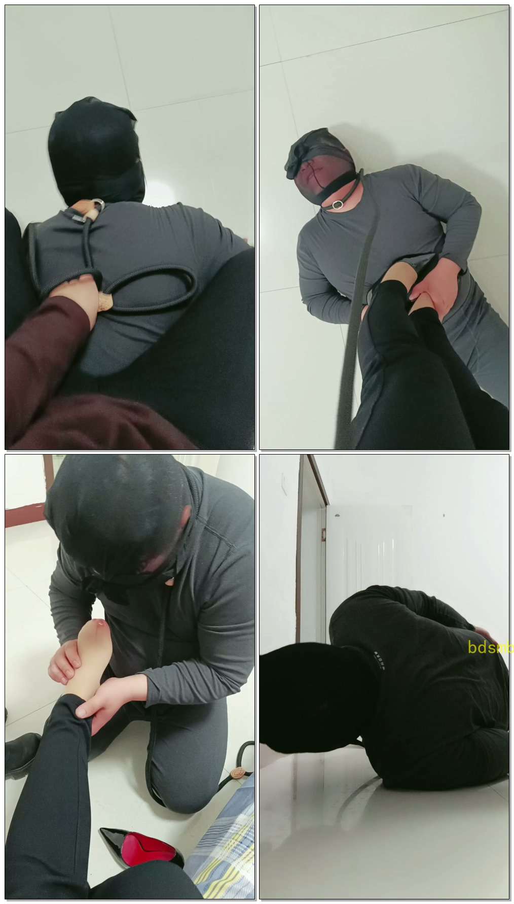 【内蒙一一s】不揍白不揍